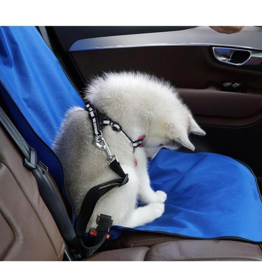 Protection Siege Voiture - PawShieldMat™ - Bleu - Partout Avec Toutou