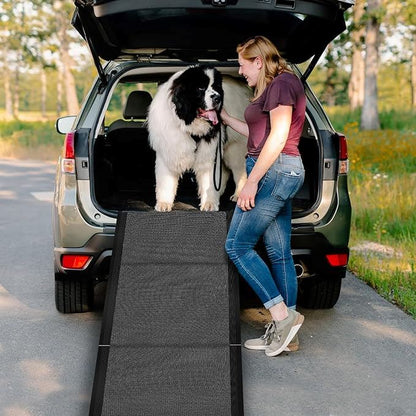 Rampe Pour Chien Voiture - RideRamp™ - Gris - Partout Avec Toutou