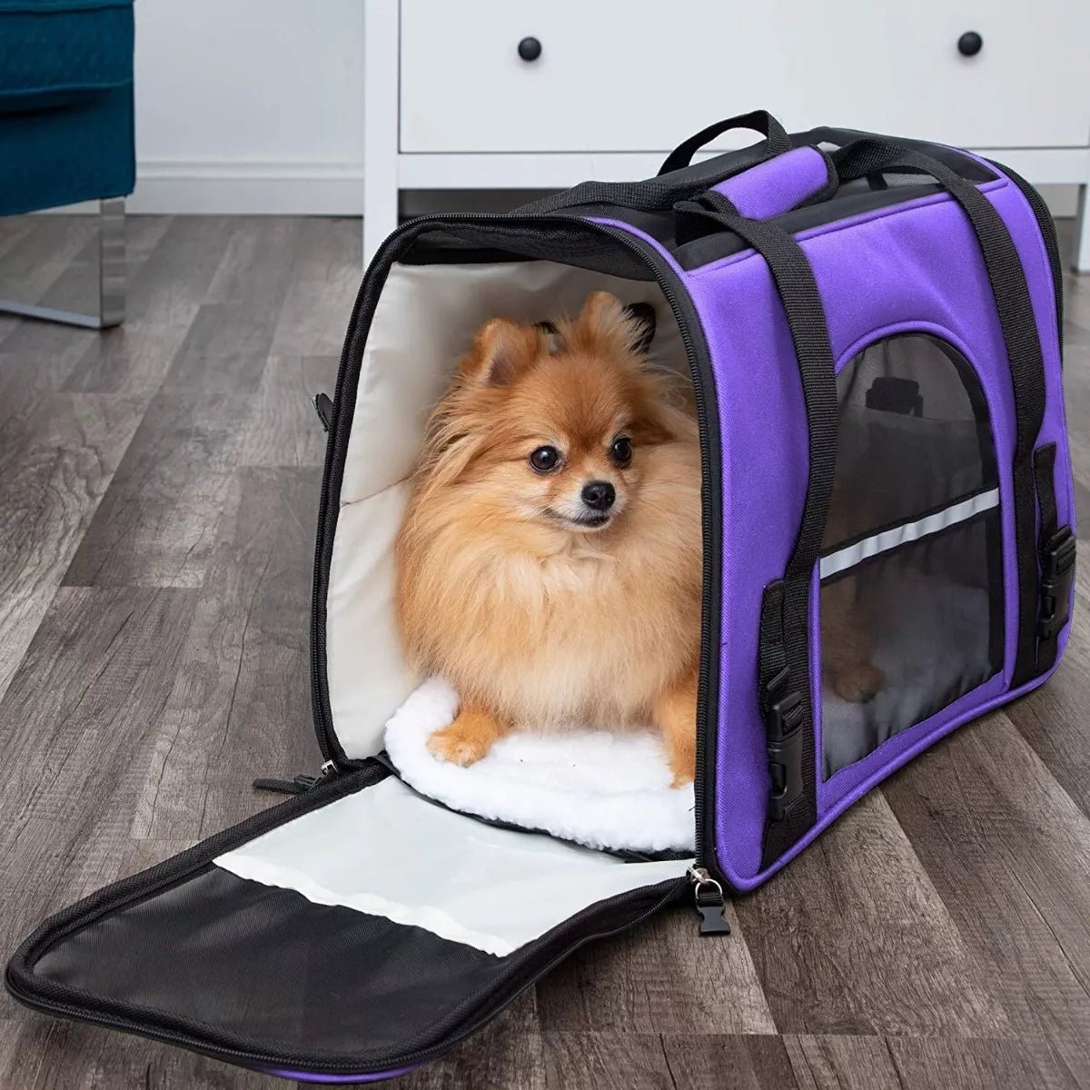 Sac de Transport pour Chien - DogCarrierBag™ - Violet - Partout Avec Toutou
